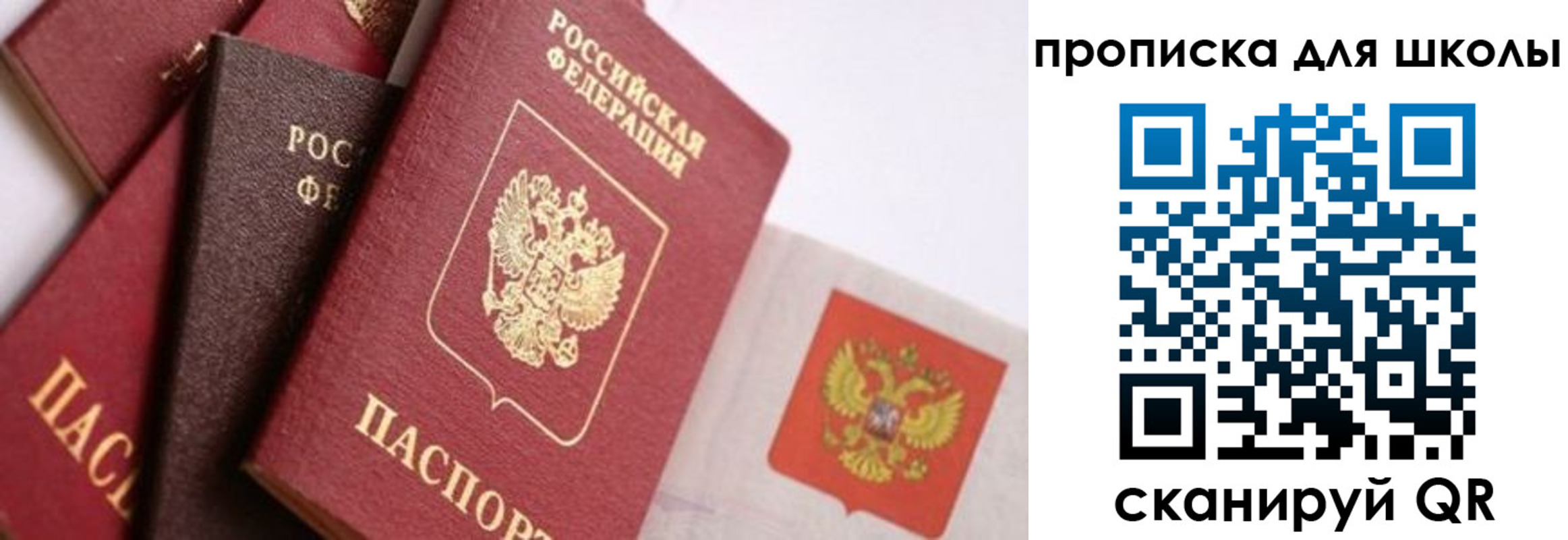 прописка поиск в Камне-на-Оби